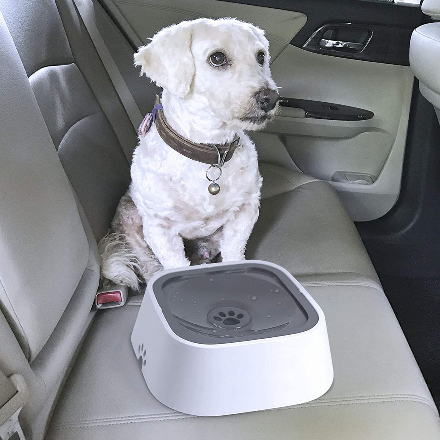 Spill Free Dog Bowl